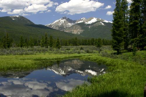 Pet Friendly Campgrounds In Colorado Bringfido