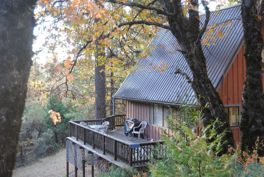 Pet Friendly Sutter Creek Airbnb Rentals