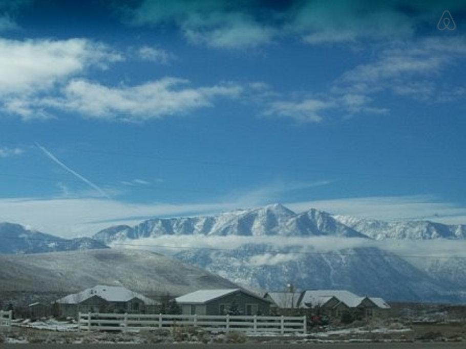 Gardnerville Airbnb Rentals Pet Policy