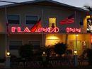 Pet Friendly Hotels Resorts In Fort Myers Beach Fl Bringfido