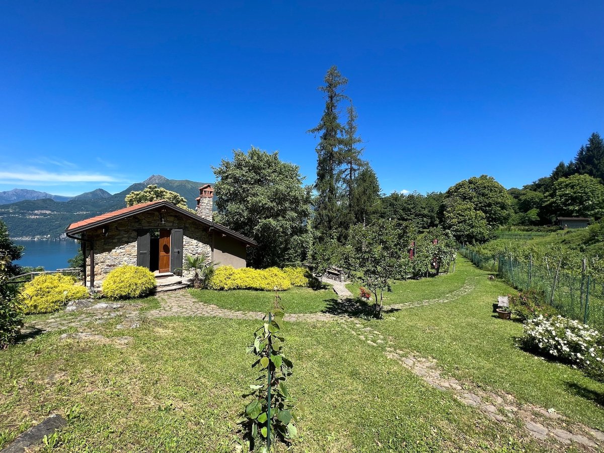 Photo of an airbnb that allows dogs in Gittana, IT.