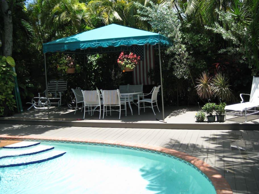 Pet Friendly Key West Airbnb Rentals
