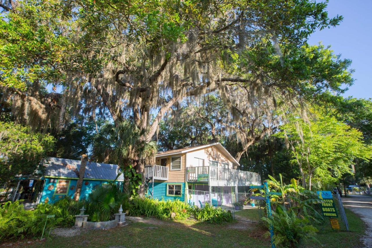 Pet Friendly Riverfront Treetop Bungalow