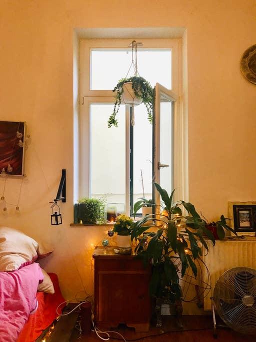 Pet Friendly Korntal Muenchingen Airbnb Rentals