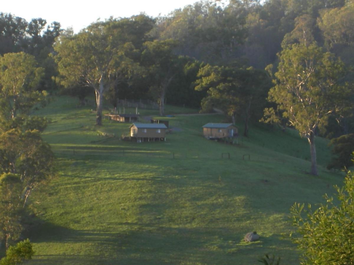 Pet Friendly Yasuragi Cabins