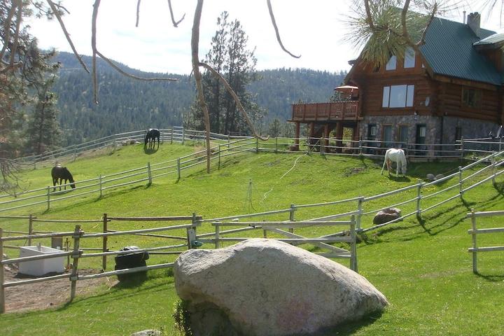 Pet Friendly Wildhorse Mountain Guest Ranch