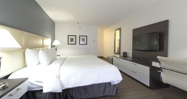 Toronto Don Valley Hotel Suites Pet Policy