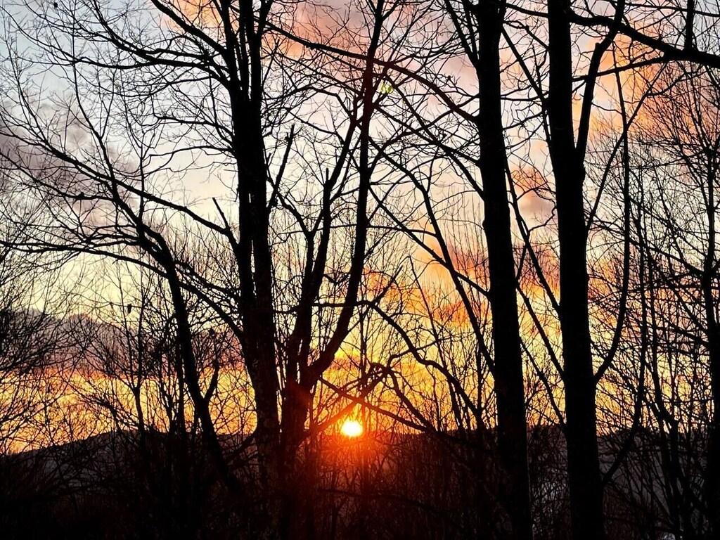 Cedar Cove Cabin Pet Policy