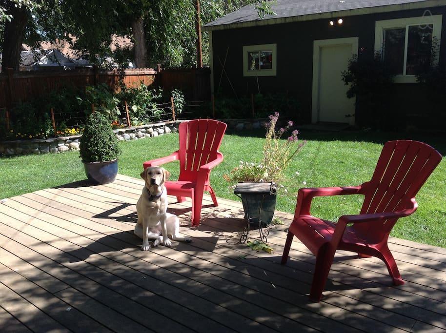 Pet Friendly Vacation Rentals In Idaho Bringfido