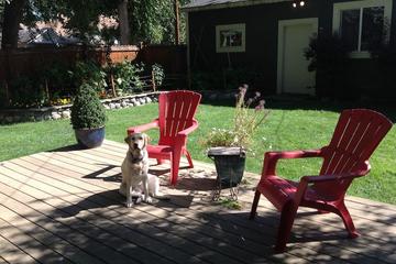 Pet Friendly Vacation Rentals In Idaho Bringfido