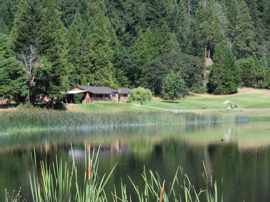 Pet Friendly Hotels In Willow Creek Ca Bringfido