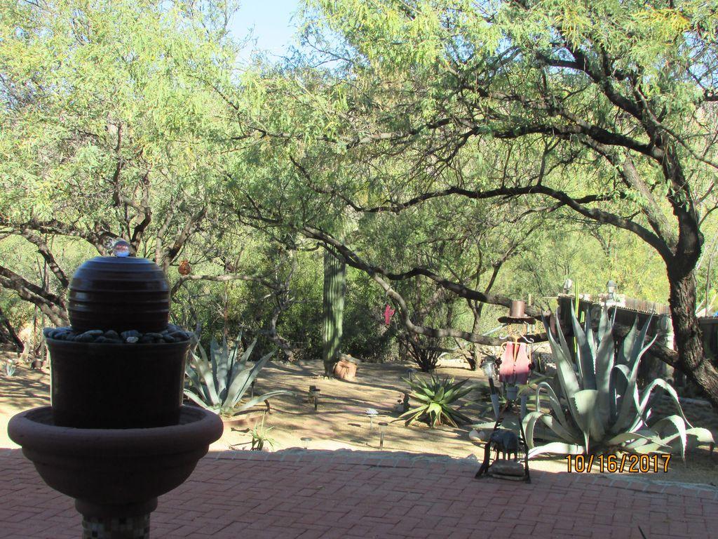 Pet Friendly Vacation Rentals In Mount Lemmon Az Bringfido