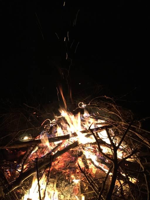 Pet Friendly Hotels In Lincolnton Nc Bringfido