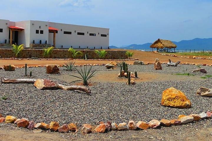 Pet Friendly Punta Conejo Resort