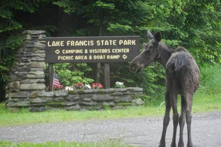 Pet Friendly Lake Francis State Park Campground