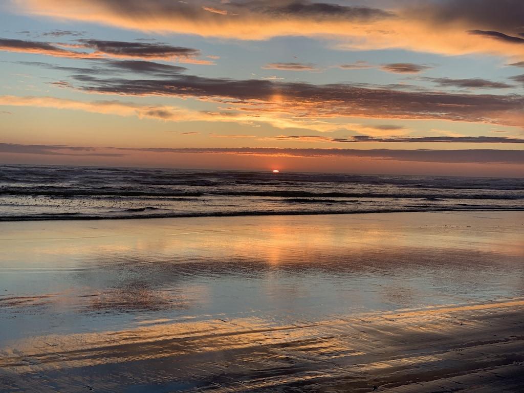 Pet Friendly Vacation Rentals in Pacific Beach, WA BringFido