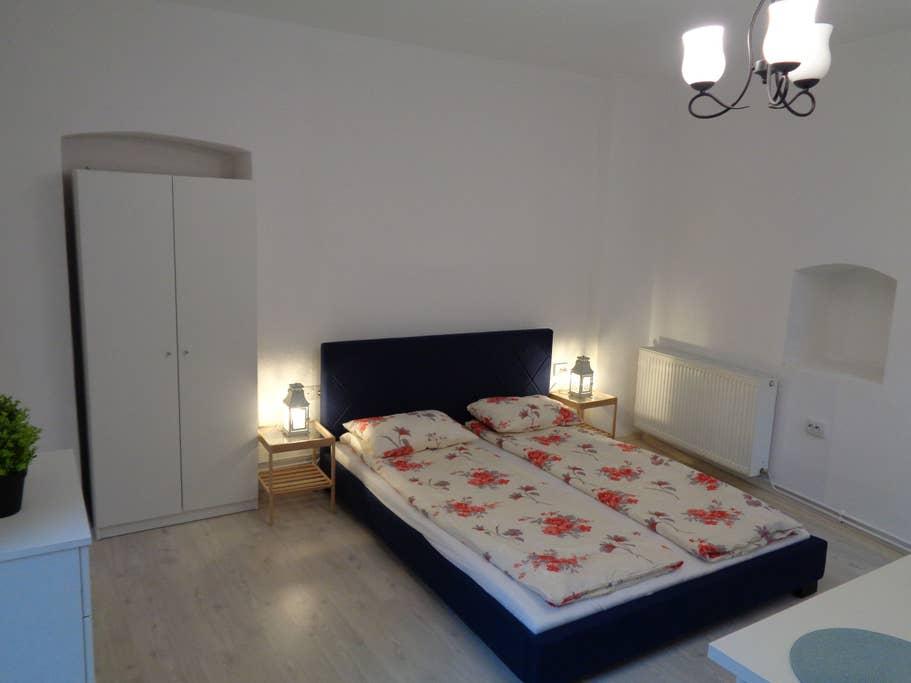 Pet Friendly Sibiu Airbnb Rentals