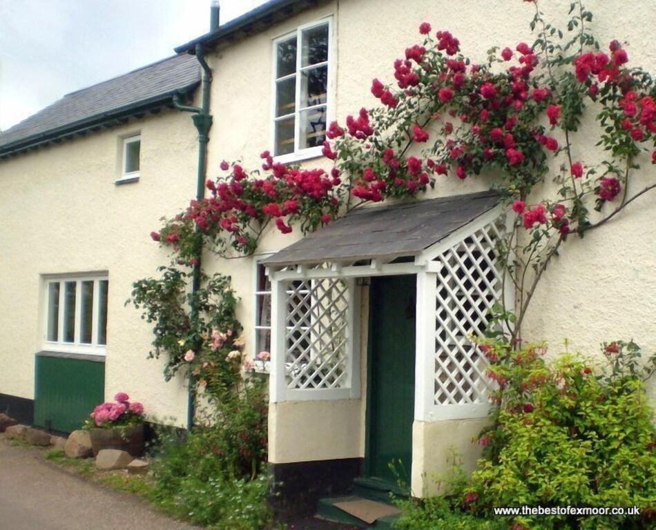 Pet Friendly Forge Cottage in Wootton Courtenay
