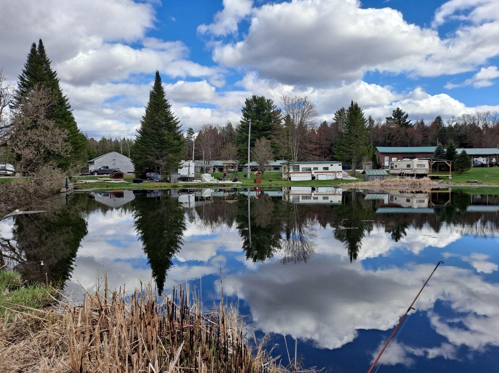 Pet Friendly Mill Pond Campground