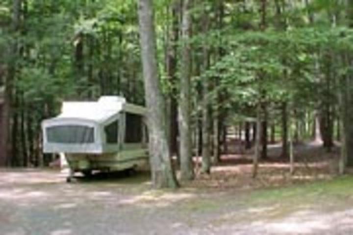 Pet Friendly Max V. Shaul Campground