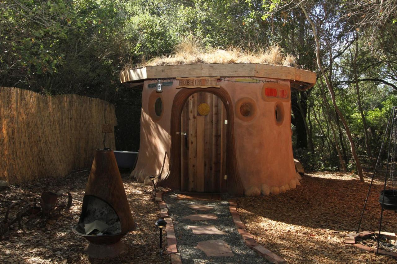 Pet Friendly Hobbit Hut