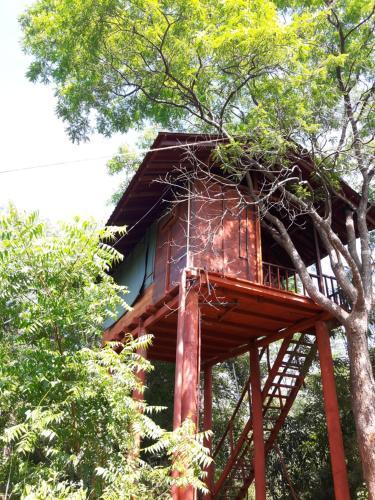 Pet Friendly Dambulla Tree House