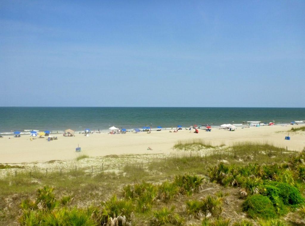 Beachside Colony Oceanfront 2 Bedroom Condo Pet Policy