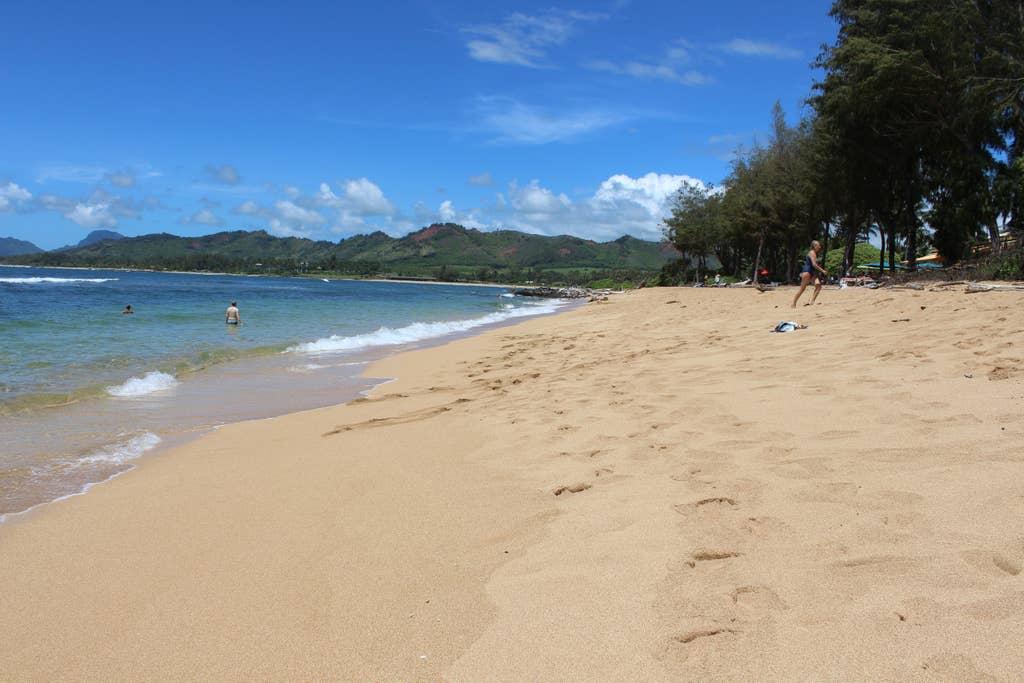 Hanapepe Airbnb Rentals Pet Policy