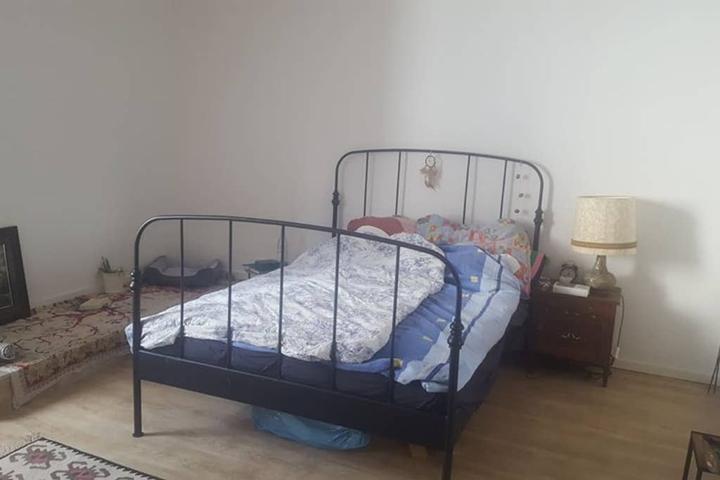 Pet Friendly Hotels In Dortmund De Bringfido