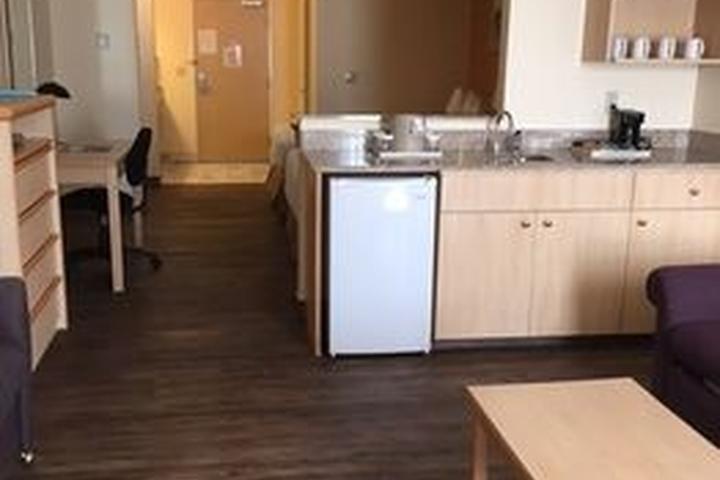 Pet Friendly Hotels In Ocean Shores Wa Bringfido