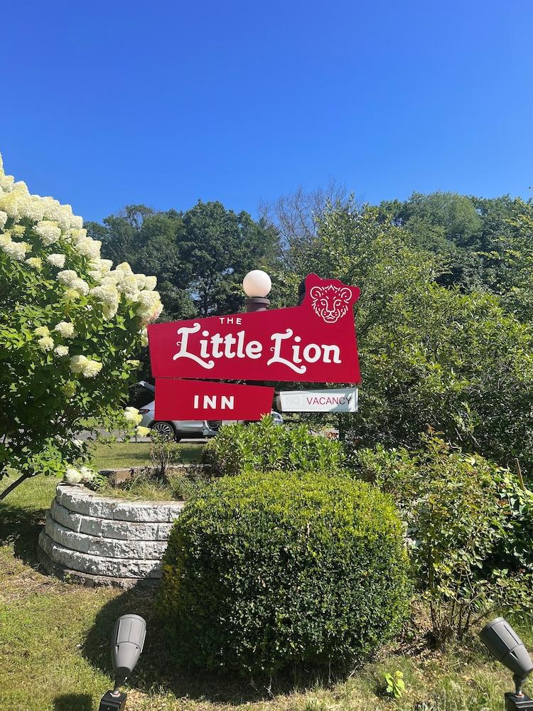 Pet Friendly The Little Lion