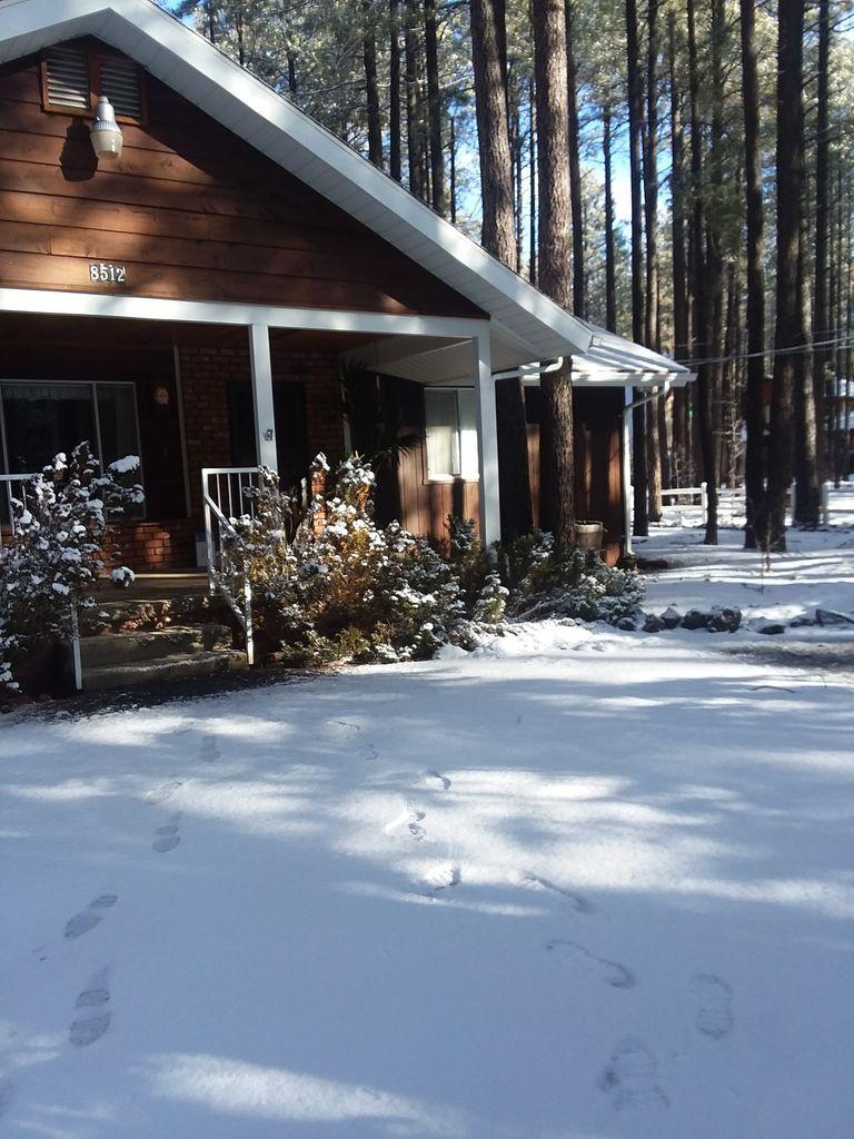 Pet Friendly Hotels In Pinetop Az - Bringfido