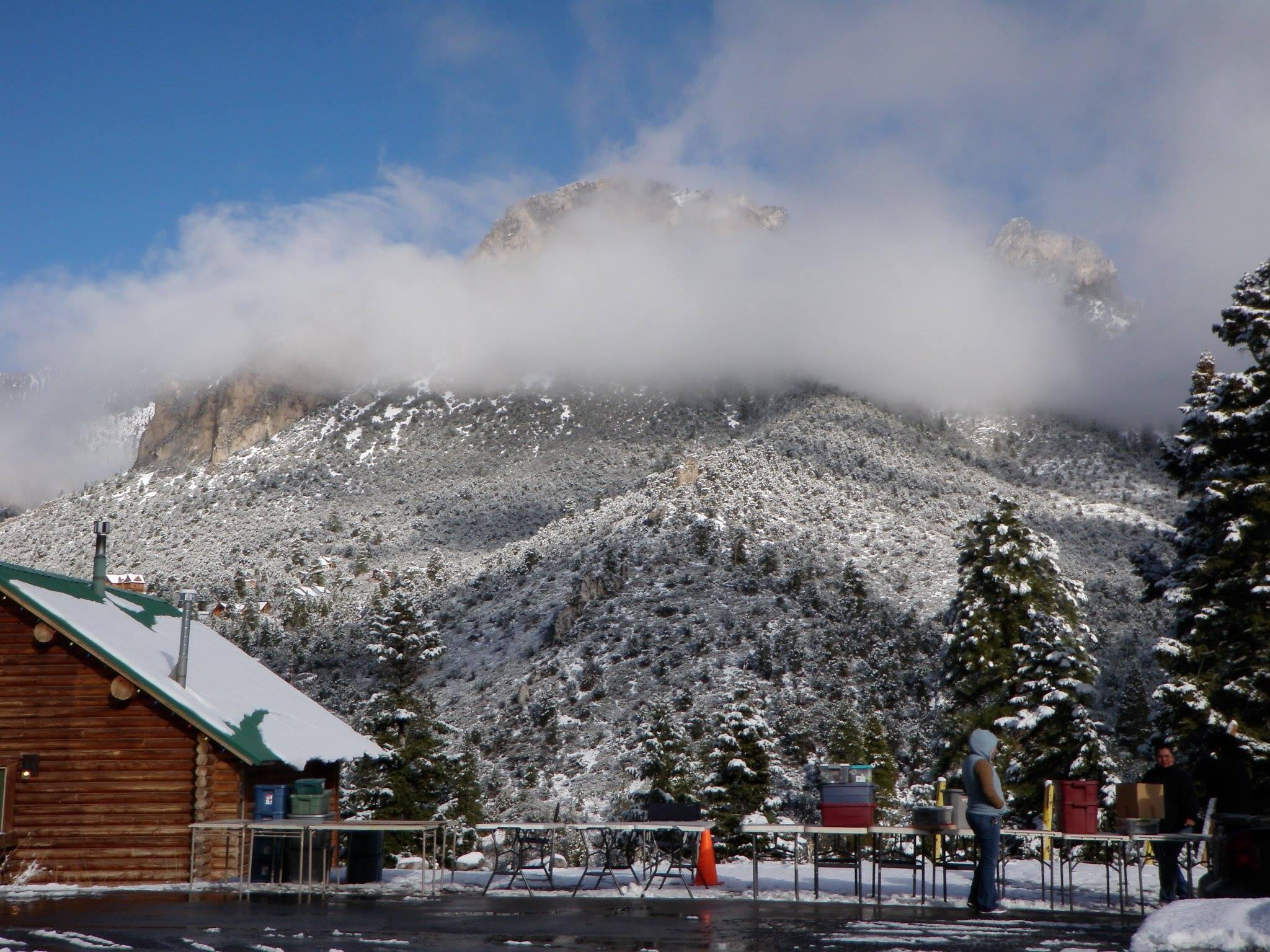 Mt Charleston Lodge Pet Policy