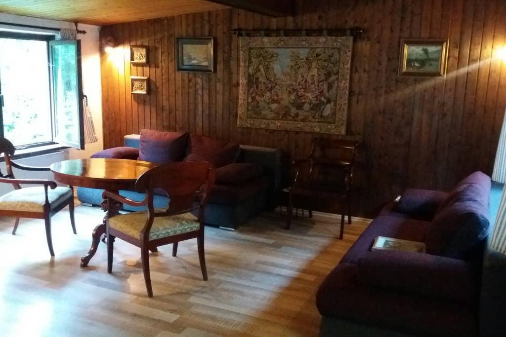 Pet Friendly Bad Schandau Airbnb Rentals
