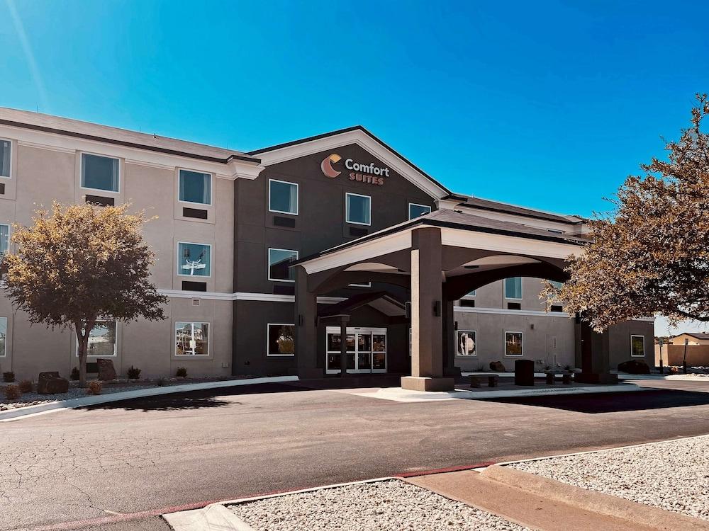 Comfort Suites San Angelo Near University Pet Policy