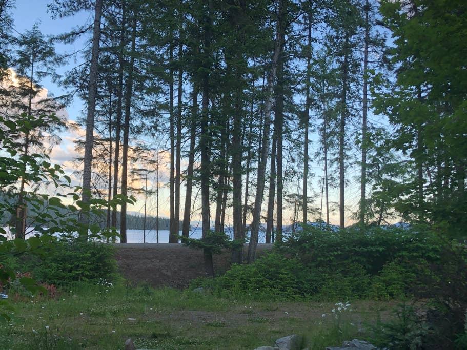 Pet Friendly Vacation Rentals In Priest Lake Id Bringfido