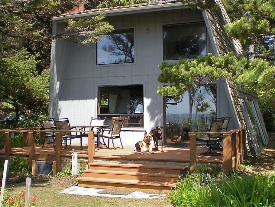Seal Rock Airbnb Rentals Pet Policy