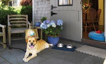 The Cottages At Nantucket Boat Basin Pet Policy