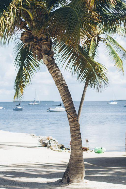 Pet Friendly Vacation Rentals In Key Largo Fl Bringfido