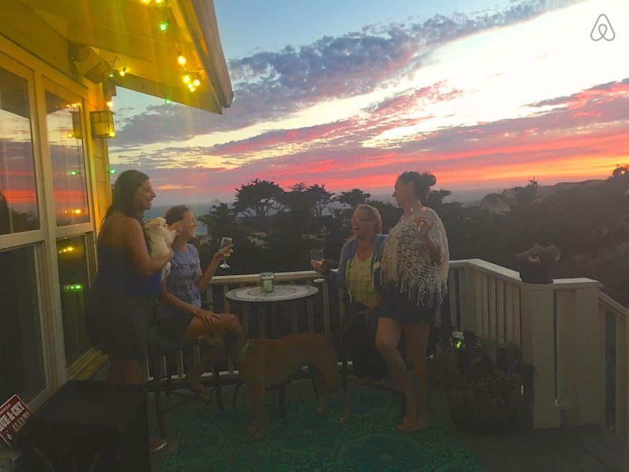 Davenport Airbnb Rentals Pet Policy