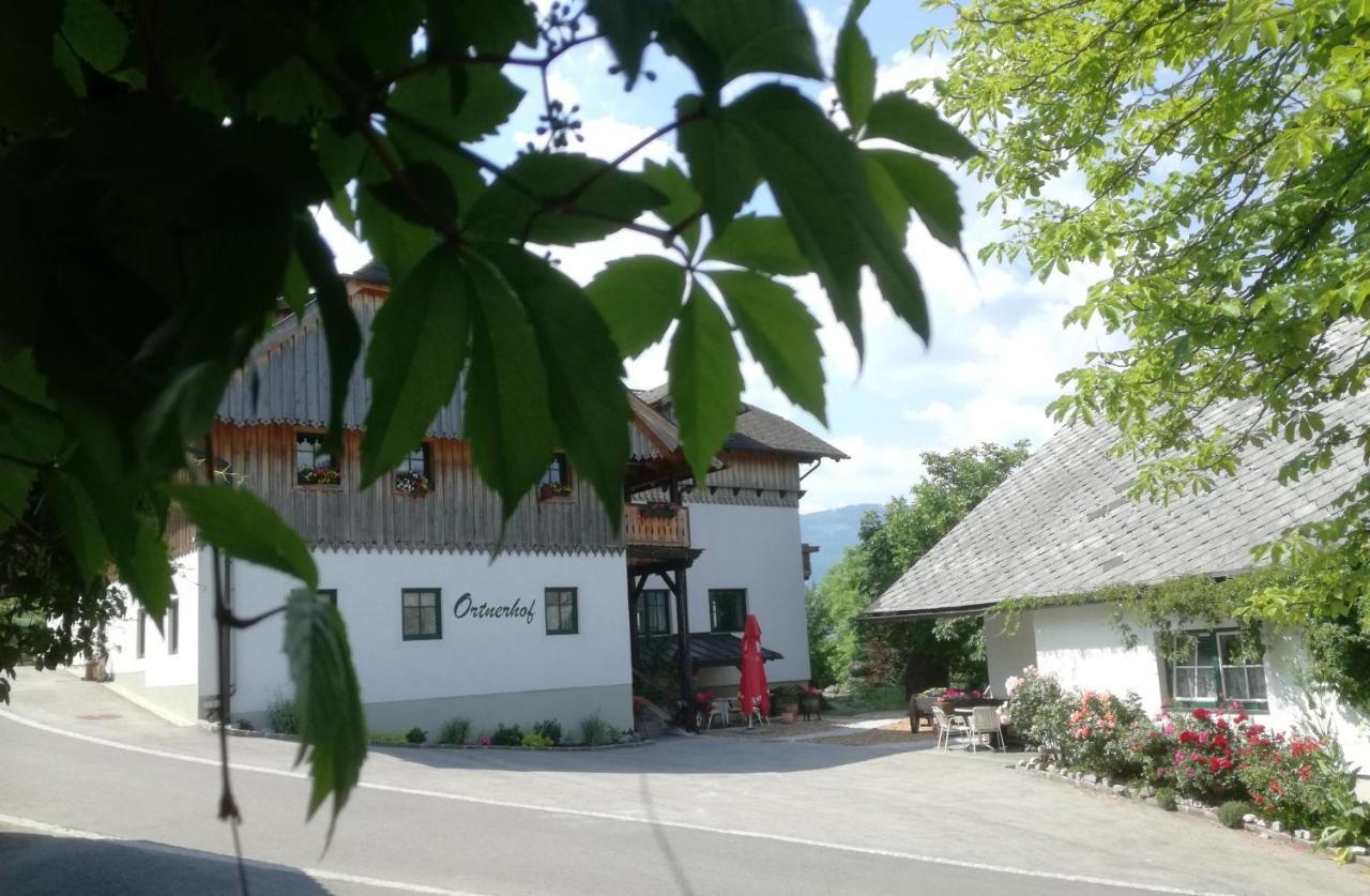 Pet Friendly Ortnerhof Ennstal