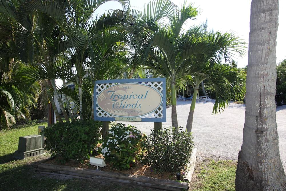 Standard Studio, Shower Only, Mini Fridge, Microwave, Tropical Winds Motel  & Cottages