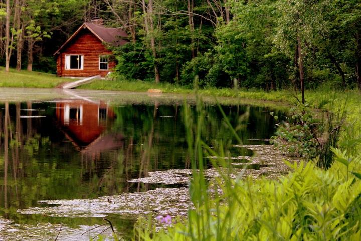 Pet Friendly Cabin with Sauna Next to Spring-Fed Pond