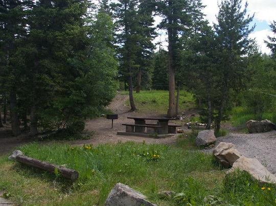 Pet Friendly Lake Hill Campground