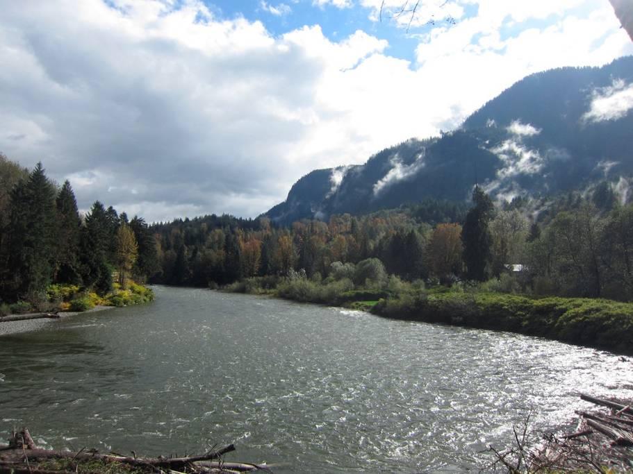 Pet Friendly Hotels in Index, WA BringFido