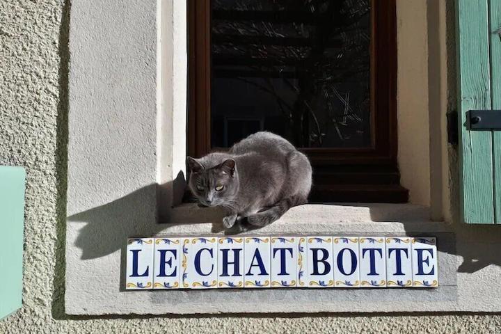 Pet Friendly Chambre d'Hôtes Le Chat Botté
