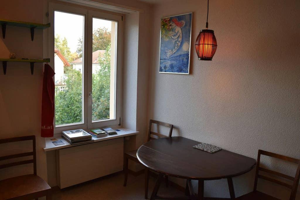 Pet Friendly Solothurn Airbnb Rentals