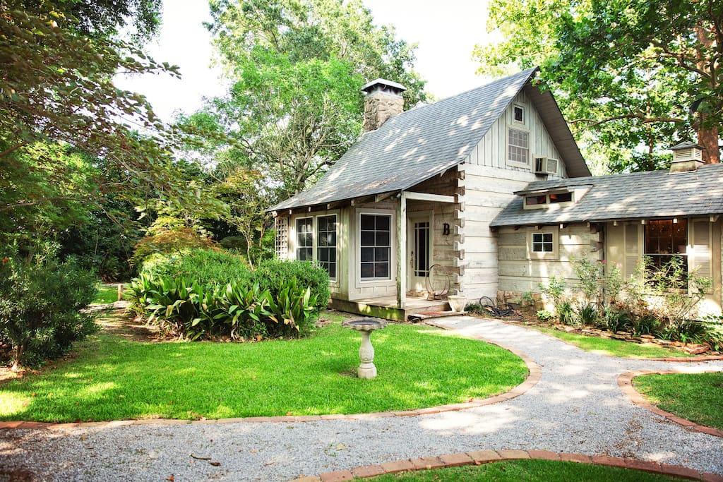 City Airbnb Rentals Pet Policy