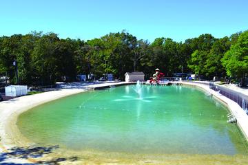 Pet Friendly Hotels Resorts In Cape May Nj Bringfido