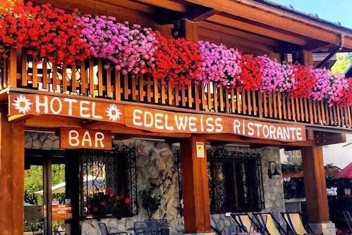 Pet Friendly Hotel Edelweiss